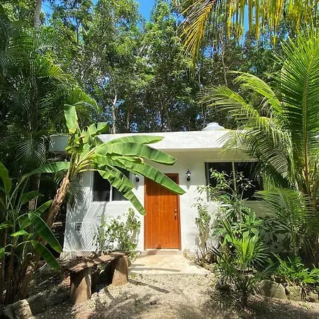 Cozumel Island - Cozy & Romantic Jungle Bungalow - Wifi/Netflix